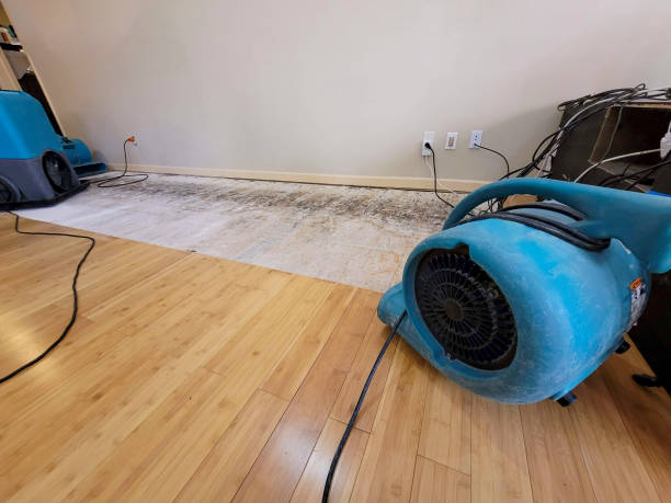 Professional Basement Flood Cleanup technician working in Harwood, TX