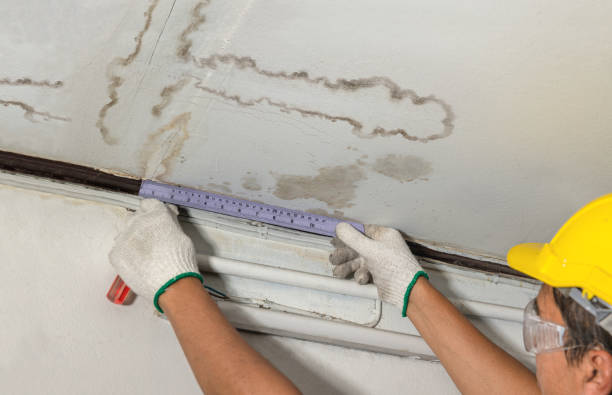 Affordable Basement Flood Cleanup solutions in Harwood, TX